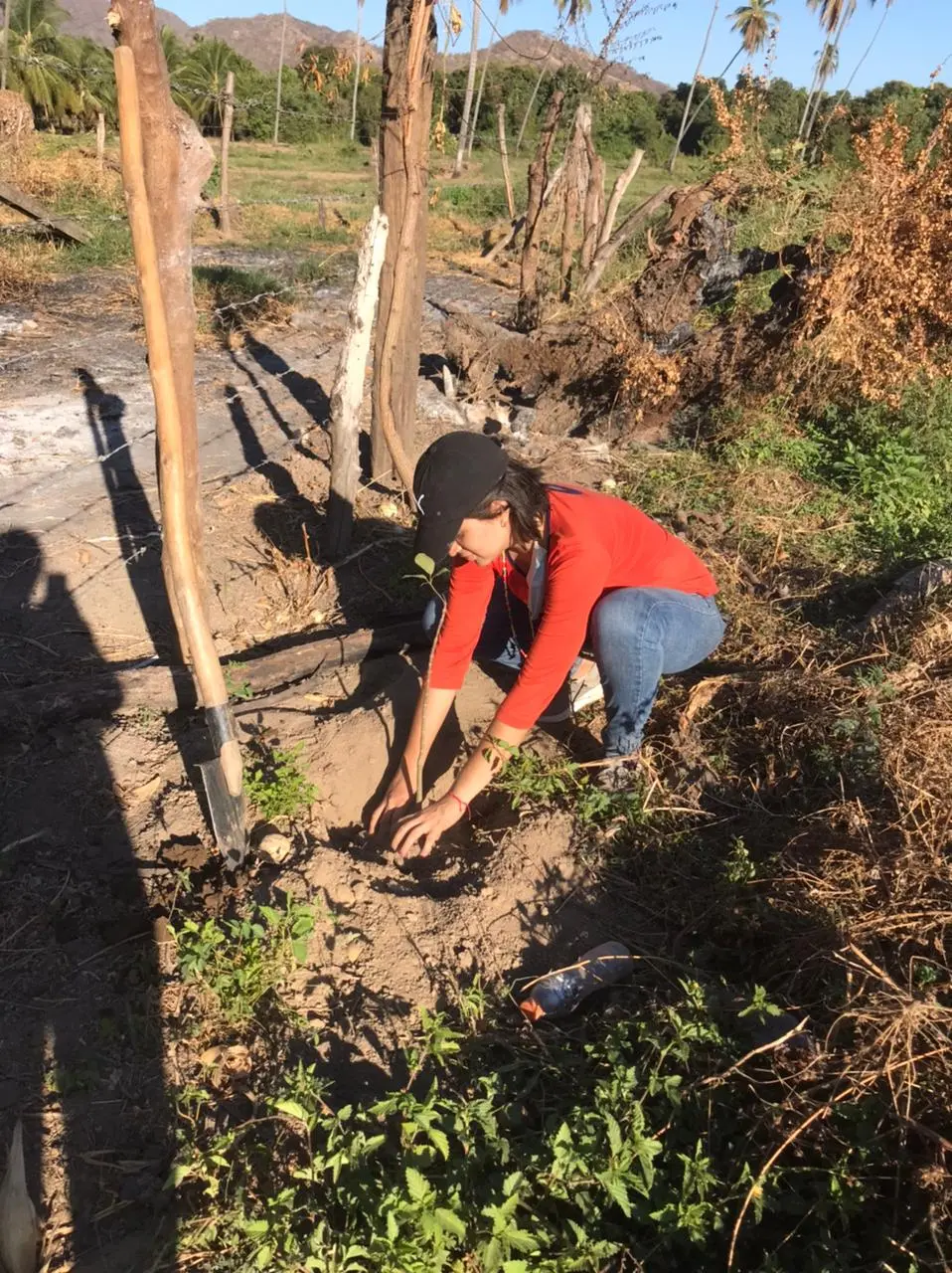 Reforestation campaign as environmental area leader of Jóvenes Construyendo el Futuro A.C. association